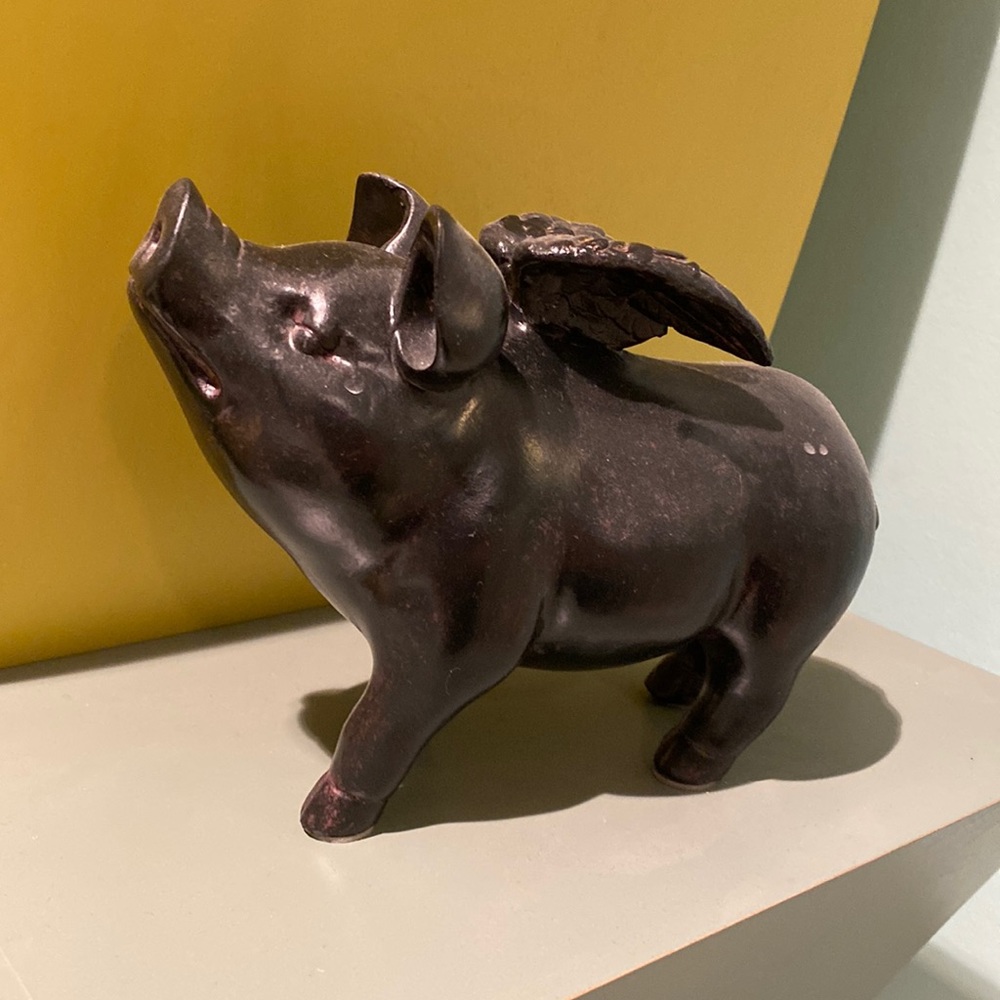 Sassy pig